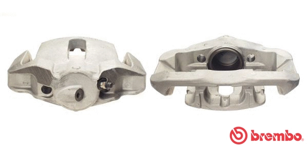 Brake Caliper (F 06 130)
