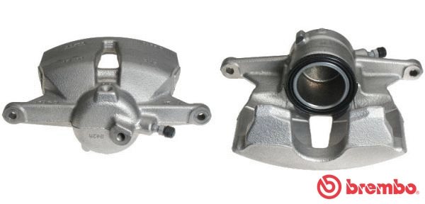 Brake Caliper (F 85 301)