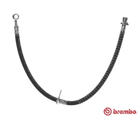 Brake Hose (T 52 027)