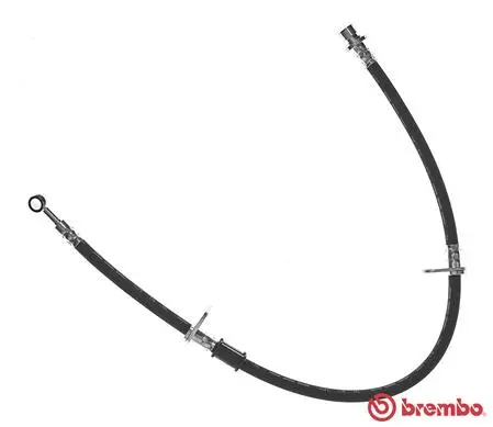 Brake Hose (T 28 088)