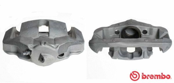 Brake Caliper (F 06 177)