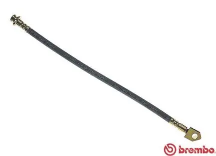 Brake Hose (T 56 075)