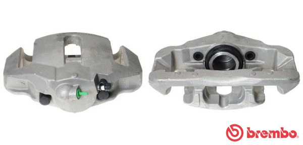 Brake Caliper (F 06 198)