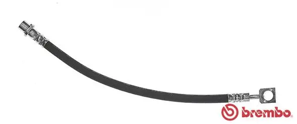 Brake Hose (T 59 081)