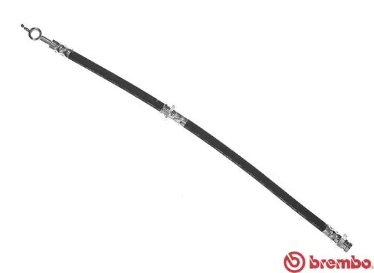 Brake Hose (T 49 006)