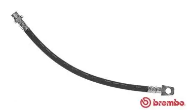 Brake Hose (T 56 114)