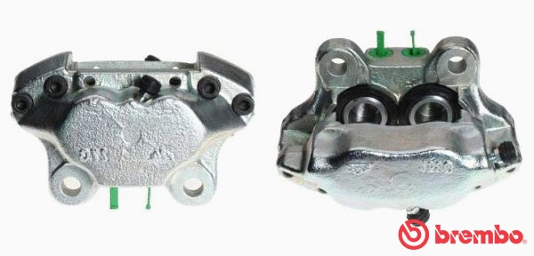 Brake Caliper (F 06 008)