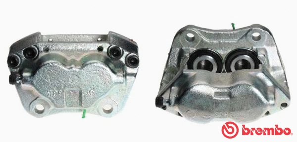 Brake Caliper (F 06 042)
