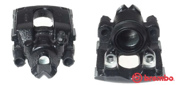 Brake Caliper (F 06 216)