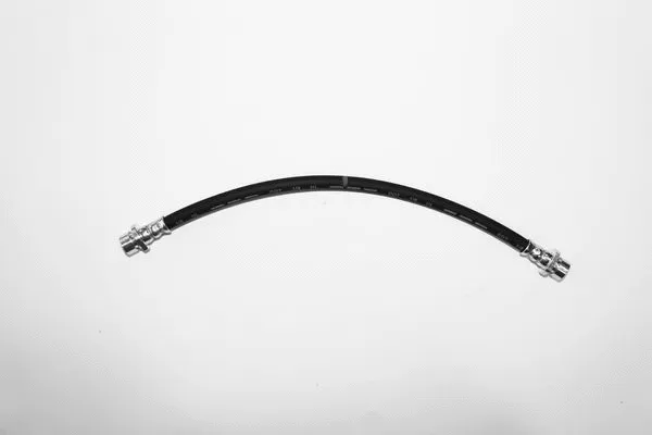 Brake Hose (T 28 069)