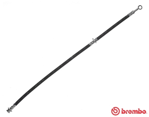 Brake Hose (T 56 151)