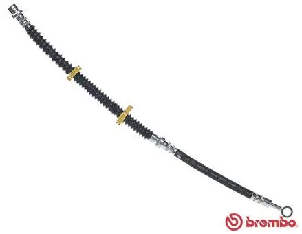 Brake Hose (T 44 031)