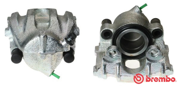 Brake Caliper (F 06 051)