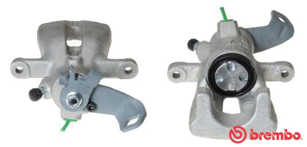 Brake Caliper (F 06 169)