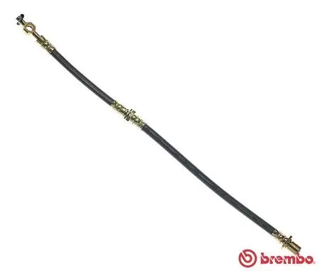 Brake Hose (T 83 033)