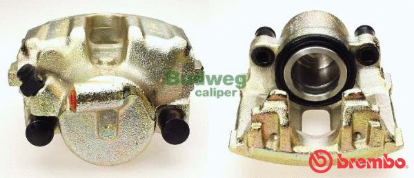 Brake Caliper (F 61 098)