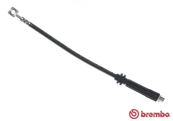 Brake Hose (T 10 017)