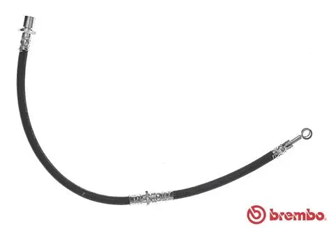 Brake Hose (T 78 005)