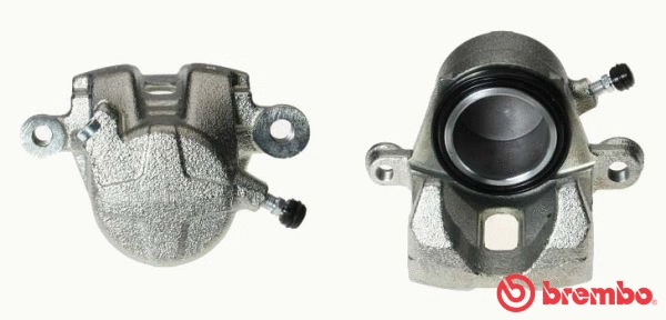 Brake Caliper (F 79 026)