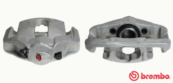 Brake Caliper (F 06 133)