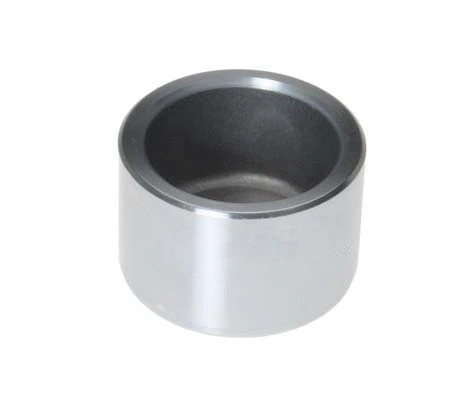 Piston, brake caliper (F PI 050)