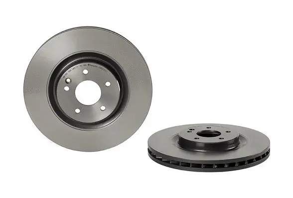 Brake Disc (09.D231.11)