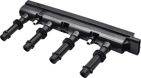 Ignition Coil (2910000408300)