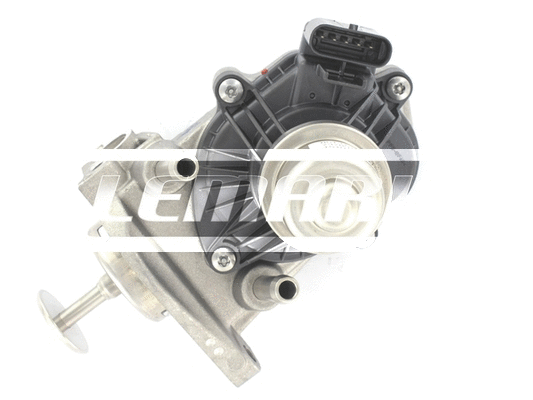 EGR Valve (LEGR256)