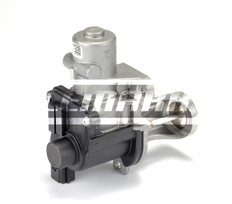 EGR Valve (LEGR193)
