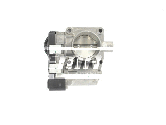 Throttle Body (LTB088)