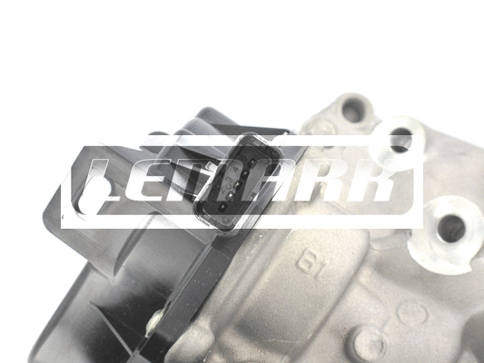 EGR Valve