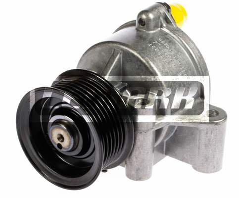 Vacuum Pump, braking system (LVP019)