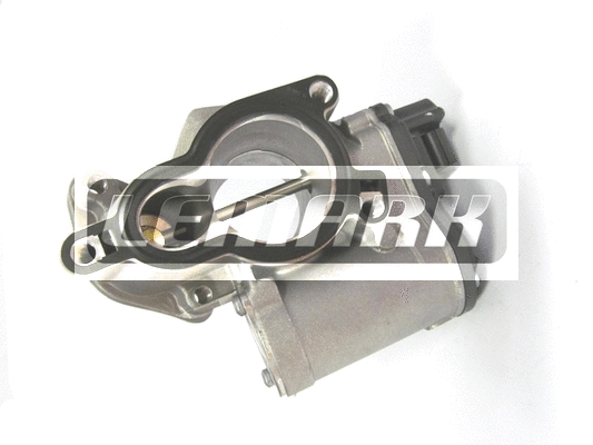 EGR Valve (LEGR117)
