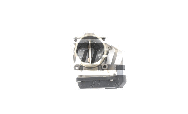 Throttle Body (LTB072)