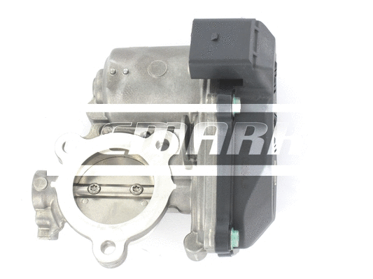 EGR Valve (LEGR255)