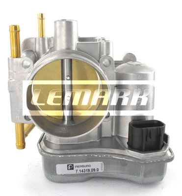 Throttle Body (LTB024)