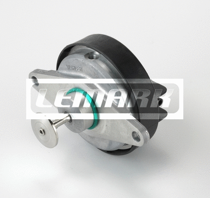 EGR Valve (LEGR164)