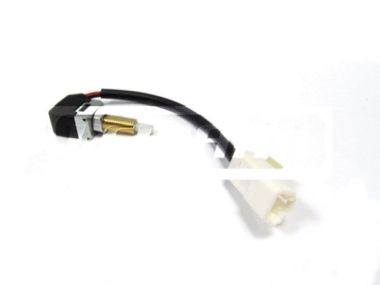 Switch, clutch control (cruise control) (LCSW046)