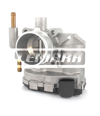 Throttle Body (LTB028)