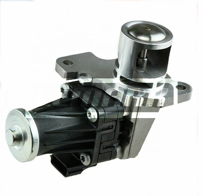 EGR Valve (LEGR313)