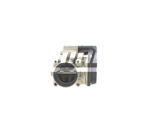Throttle Body (LTB071)