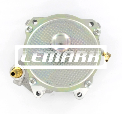 Vacuum Pump, braking system (LVP092)
