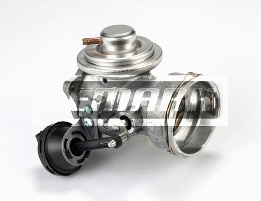 EGR Valve (LEGR016)