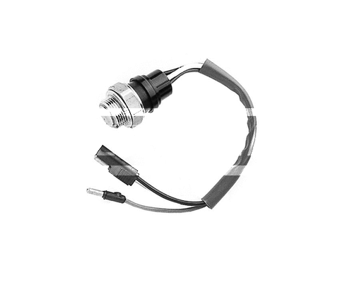 Temperature Switch, radiator fan (LFS064)