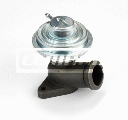 EGR Valve (LEGR021)