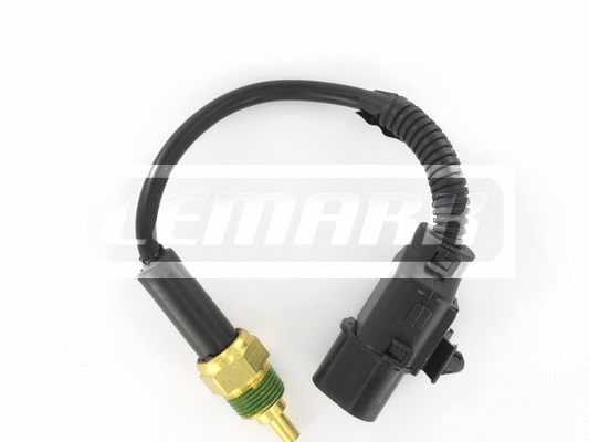 Sensor, coolant temperature (LWS137)