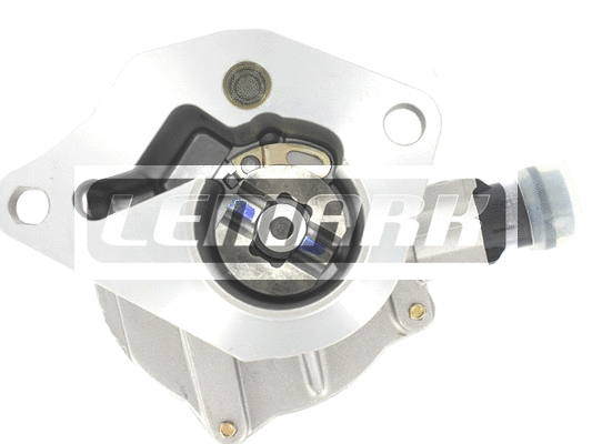 Vacuum Pump, braking system (LVP029)