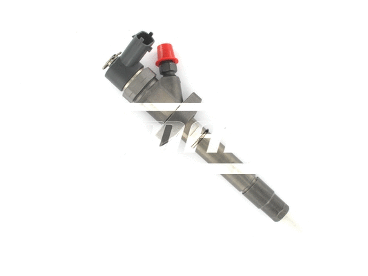 Nozzle and Holder Assembly (LDI046)
