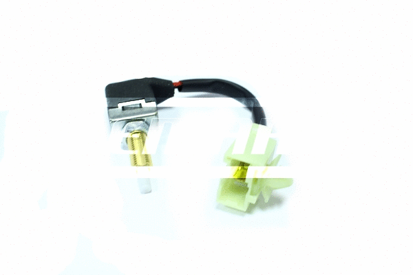 Switch, clutch control (cruise control) (LCSW044)