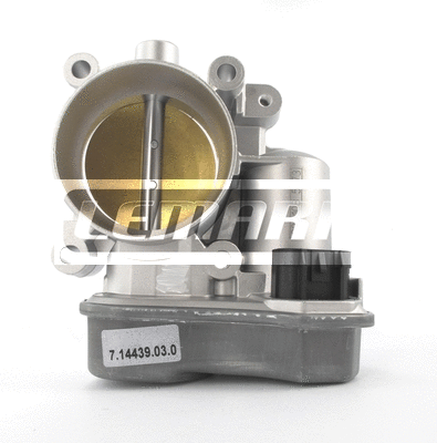 Throttle Body (LTB101)